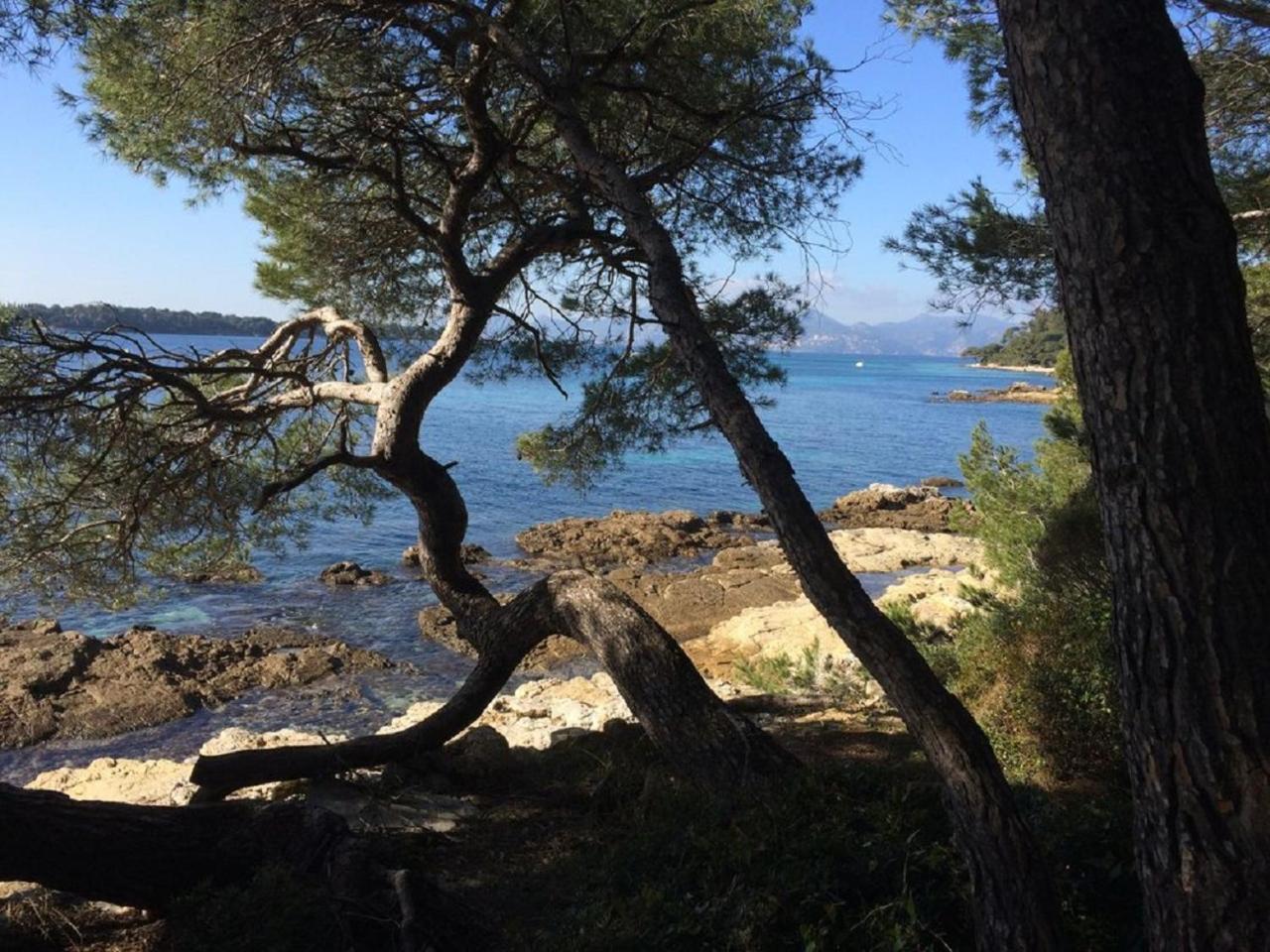 Cannes Design Vue Mer 외부 사진